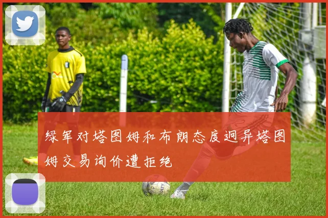 绿军对塔图姆和布朗态度迥异塔图姆交易询价遭拒绝