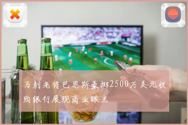 马刺老将巴恩斯豪掷2500万美元收购银行展现商业眼光