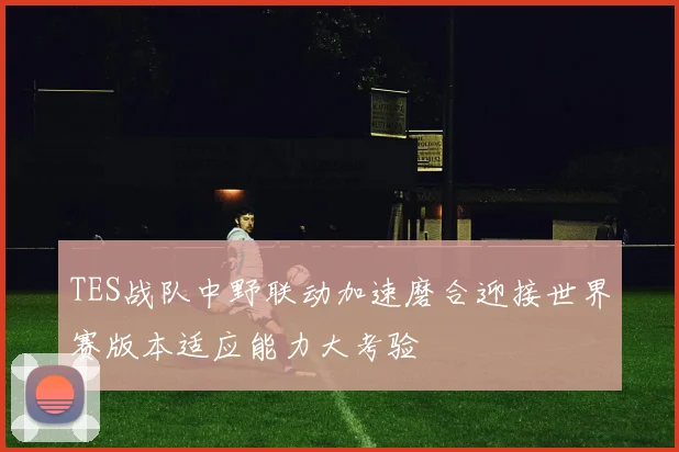 TES战队中野联动加速磨合迎接世界赛版本适应能力大考验