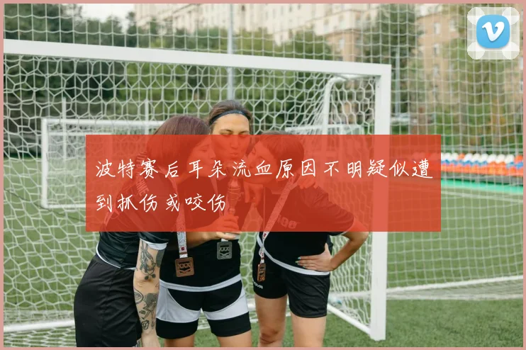 波特赛后耳朵流血原因不明疑似遭到抓伤或咬伤